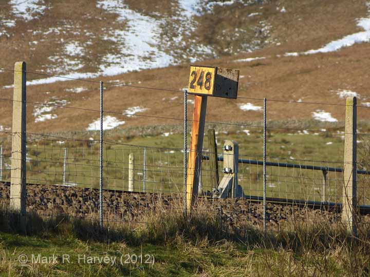 To view a larger version, click / tap on thumbnail. Photo as per caption. Opens larger version.