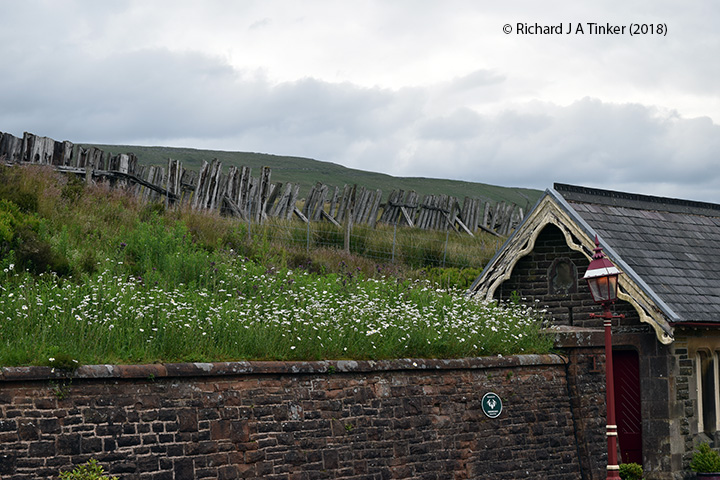 To view a larger version, click / tap on thumbnail. Photo as per caption. Opens larger version.