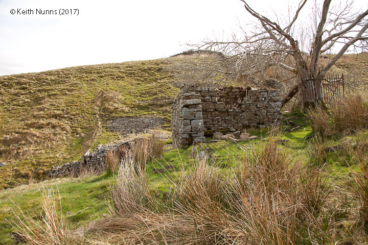 To view a larger version, click / tap on thumbnail. Photo as per caption. Opens larger version.