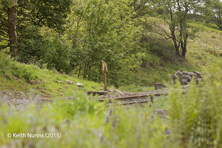 To view a larger version, click / tap on thumbnail. Photo as per caption. Opens larger version.