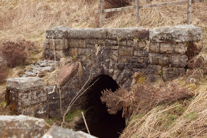 To view a larger version, click / tap on thumbnail. Photo as per caption. Opens larger version.