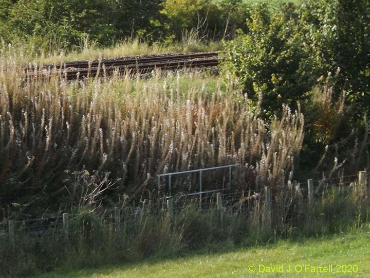 To view a larger version, click / tap on thumbnail. Photo as per caption. Opens larger version.